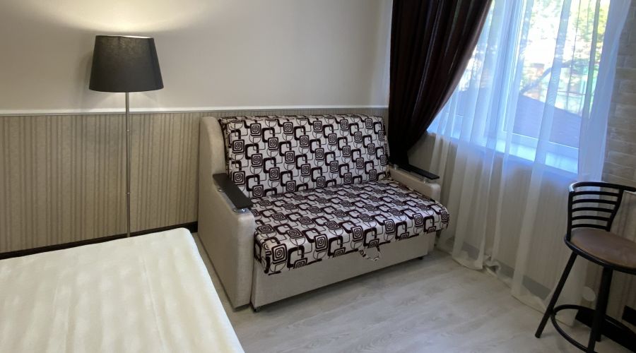 Семейный Делюкс 4-местный 1-комнатный