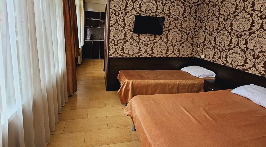 Апартаменты 3-местные