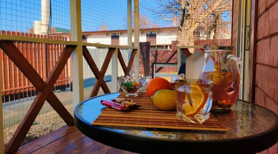 Стандарт 4-местный в финском доме