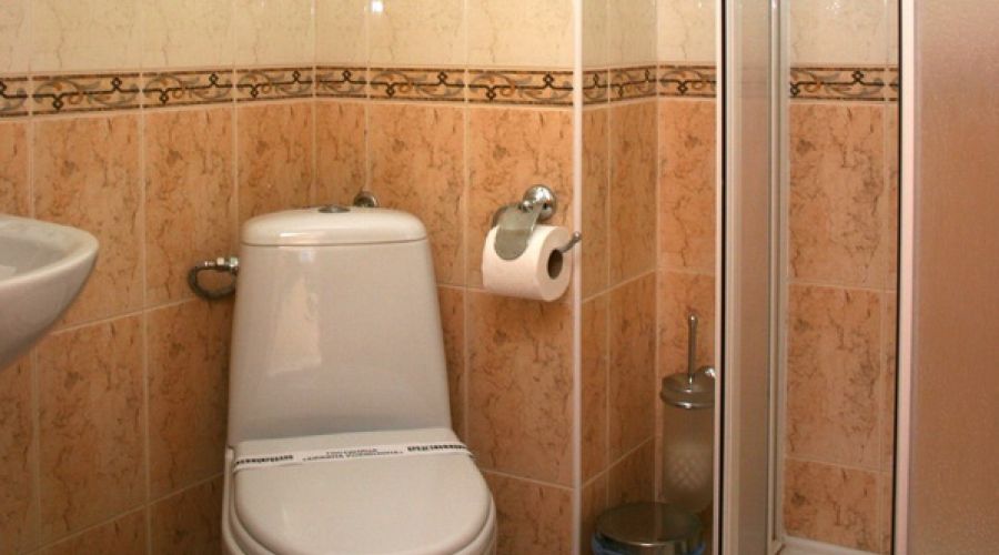 Улучшенный 3-местный 1-комнатый мансарда