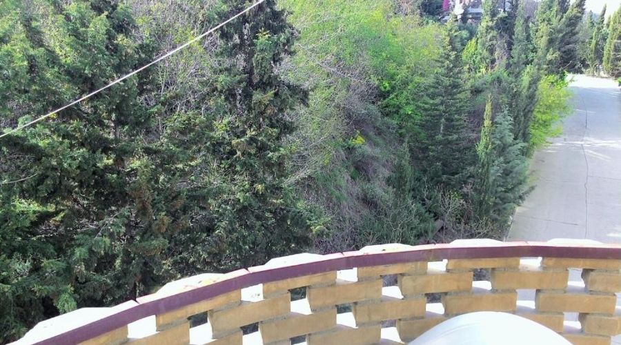 Люкс 2-местный 2-комнатный с видом на зеленую зону (с балконом)