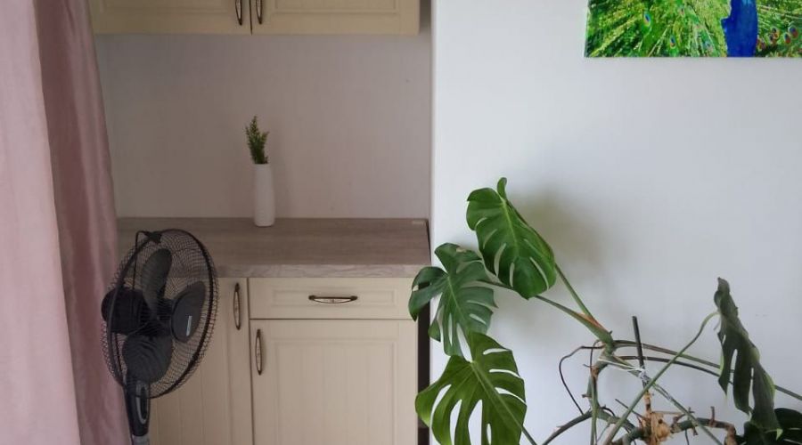 Люкс 2-местный 1-комнатный