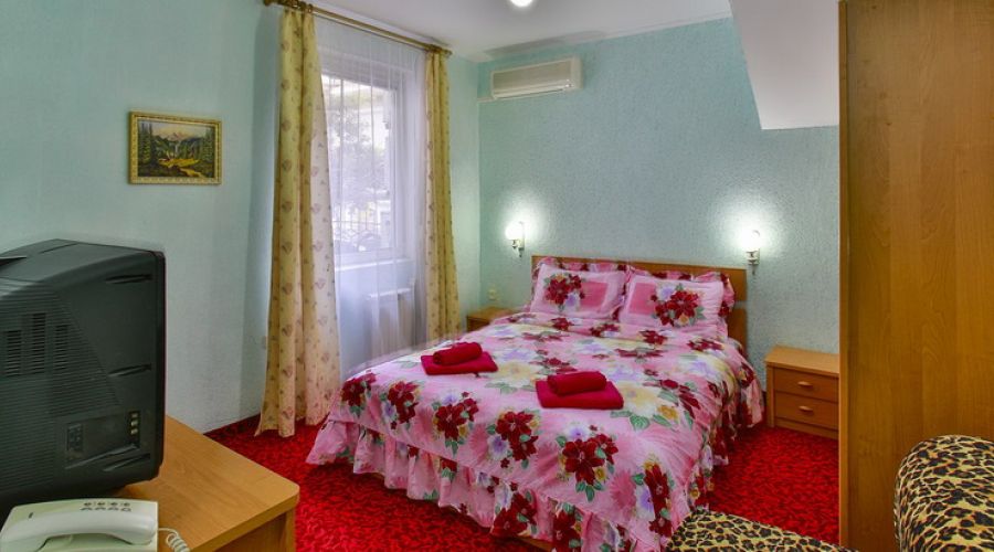 Номер СЕВЕР 2-местный 1-комнатный