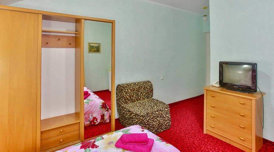 Номер СЕВЕР 2-местный 1-комнатный