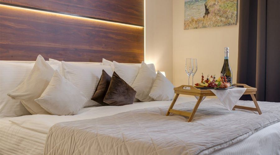 Делюкс 2-местныйDBL вид на сад