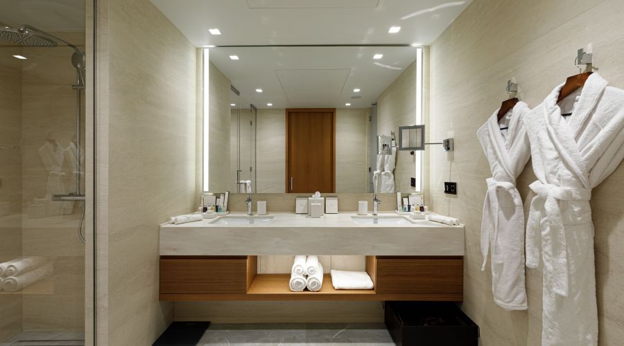 Джуниор сюит 2 местный DBL вид город