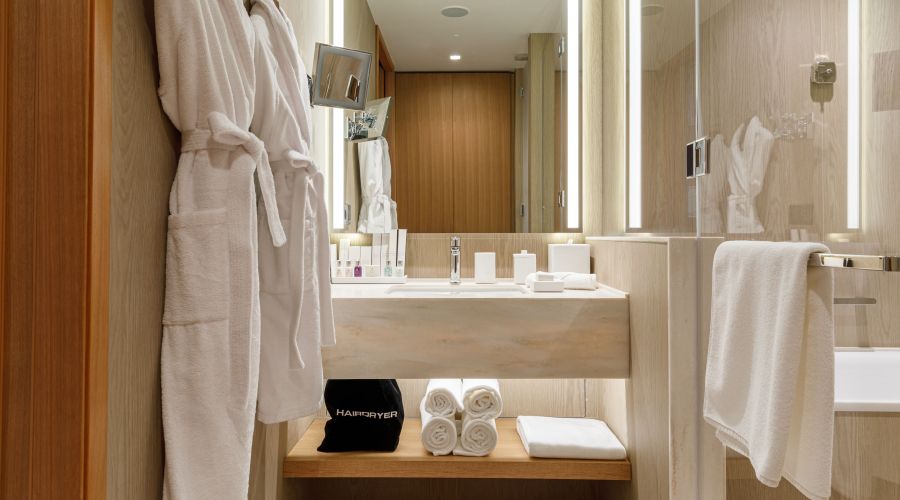 Стандарт 2-местныйDBL вид на мост