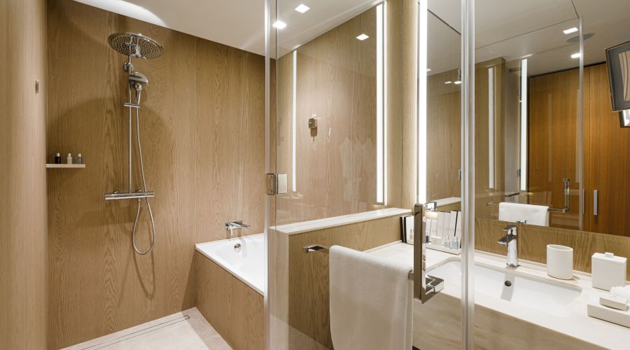 Супериор 2 мест TWIN вид на город