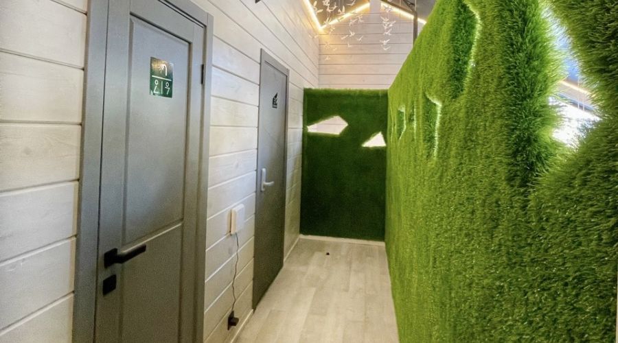 Стандарт 2-местный GEOROOM