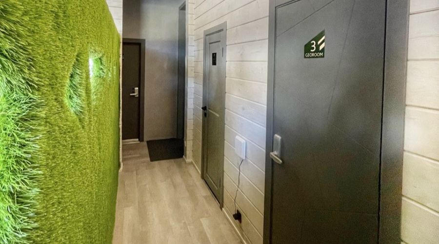 Стандарт 2-местный GEOROOM