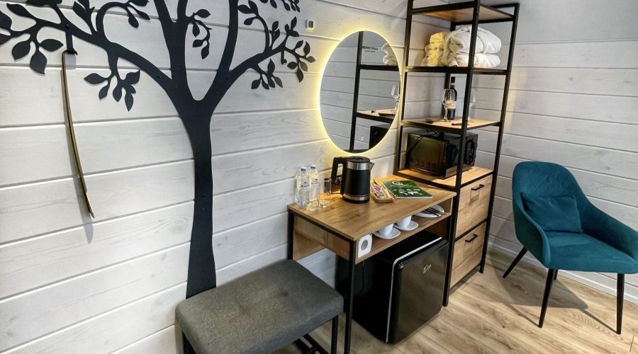 Стандарт 2-местный GEOROOM