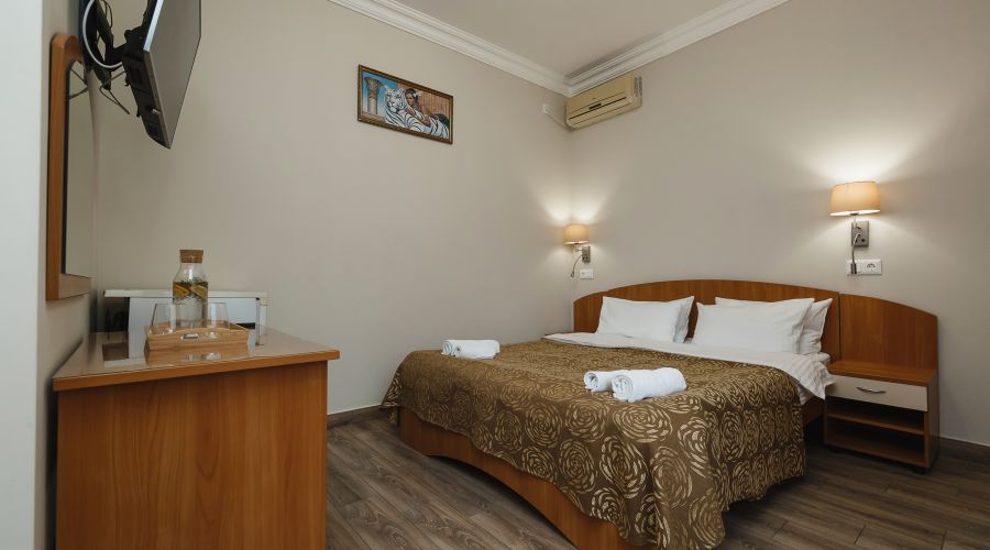 Стандарт 2-местный Double/Twin