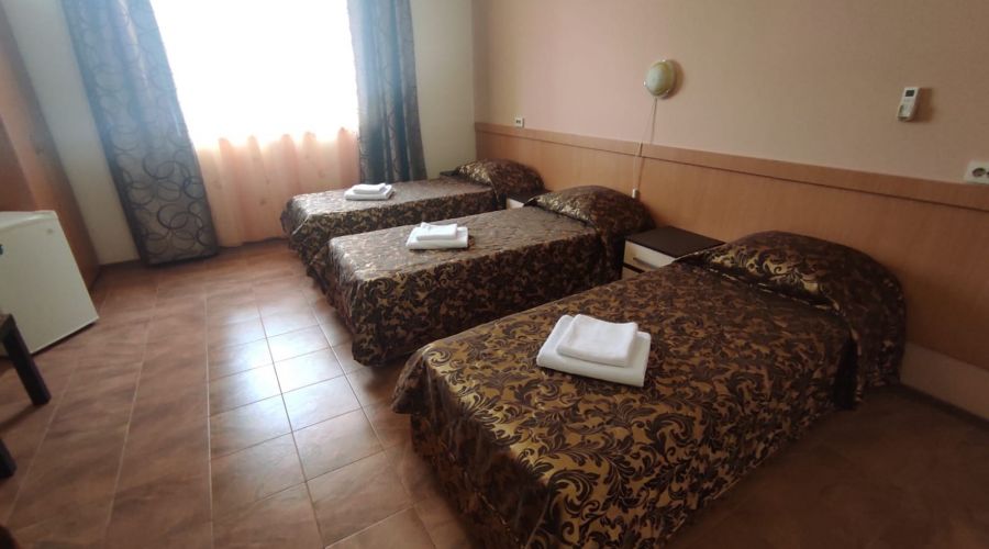 Стандарт 3-местный с видом на горы №36