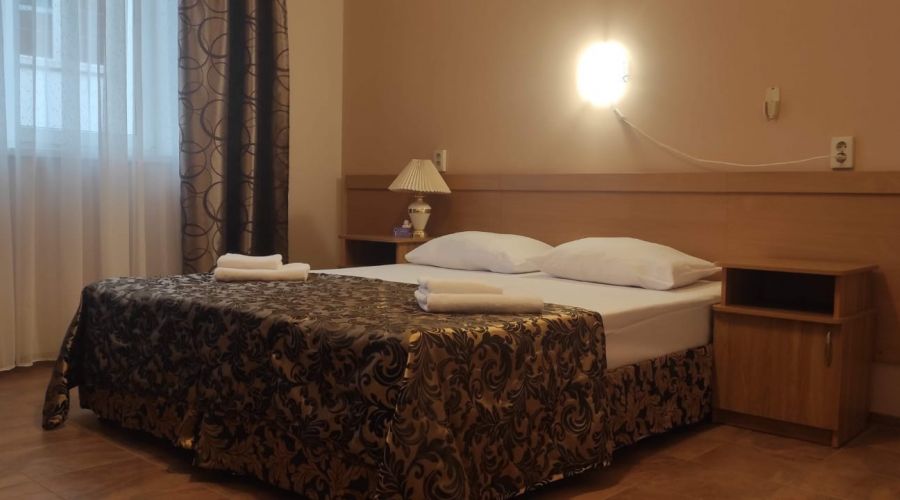 Стандарт 2-местный с видом на горы №34