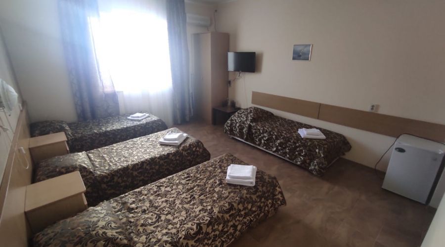 Стандарт 4-местный с видом на горы №23