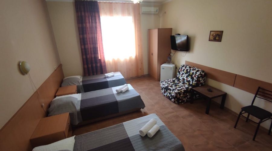 Стандарт 3-местный, вид на горы №33