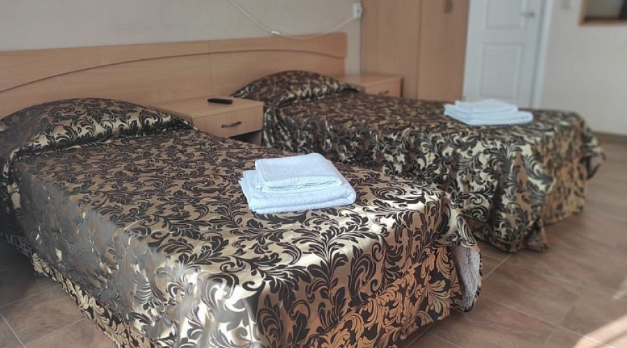 Стандарт Плюс 2-м с балконом №22