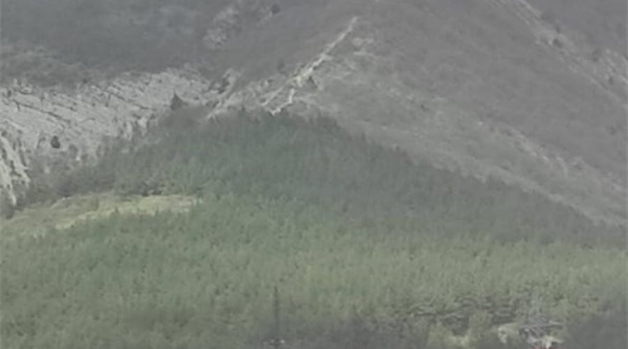 Стандарт двухместный с видом на горы №24