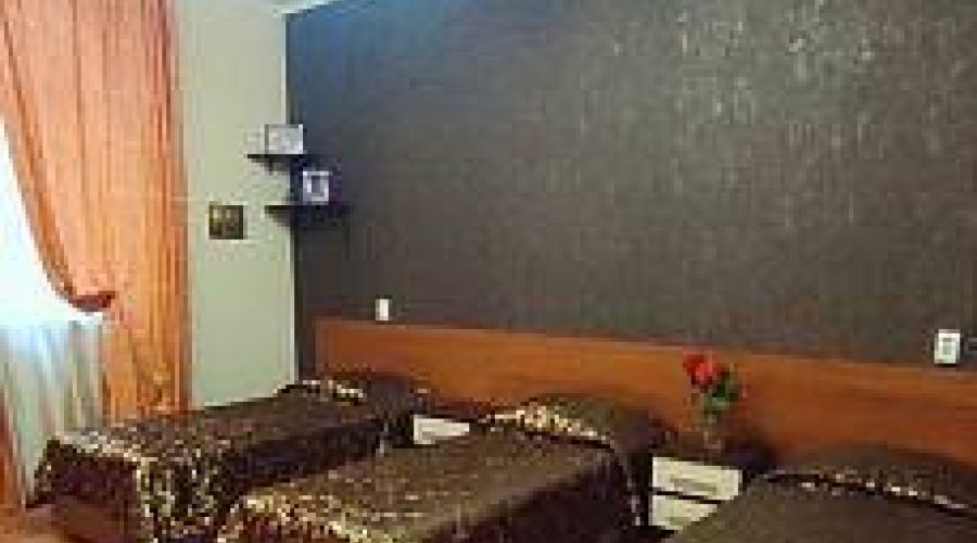 Эконом 3 местный