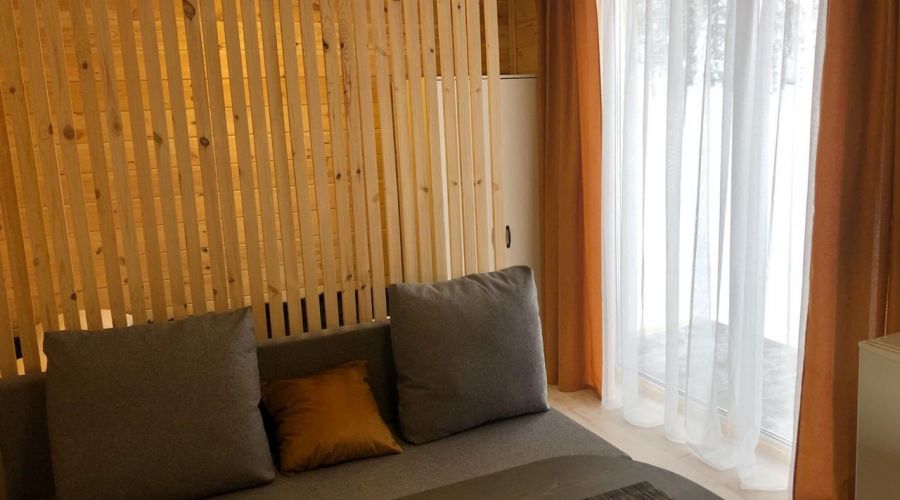 Апартаменты 2-местный №1