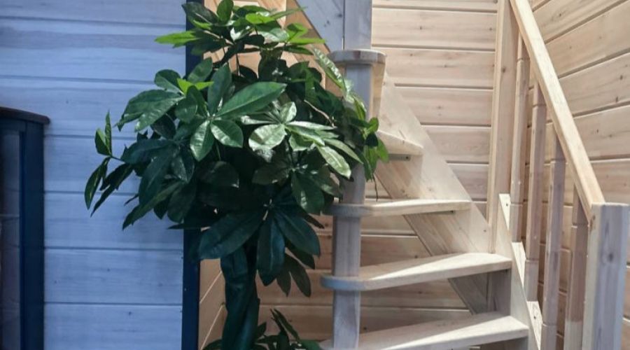 Барн 8-местный №2