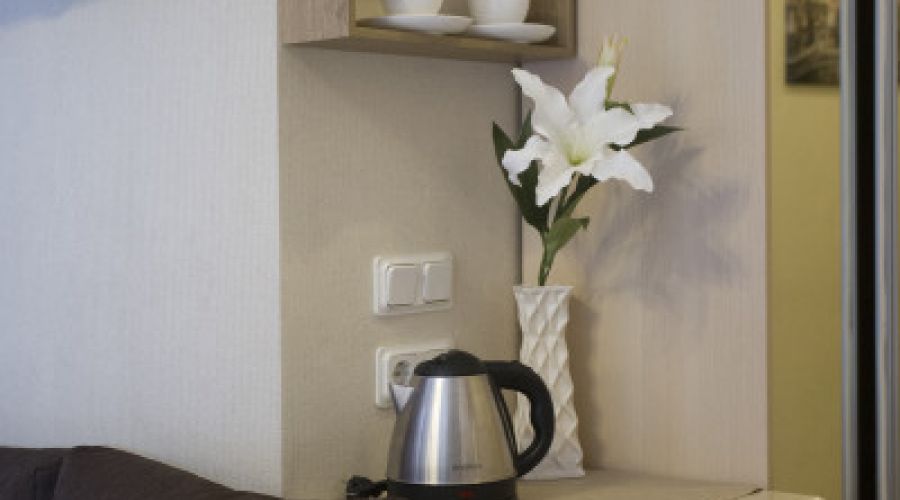 Делюкс 2-местный #105