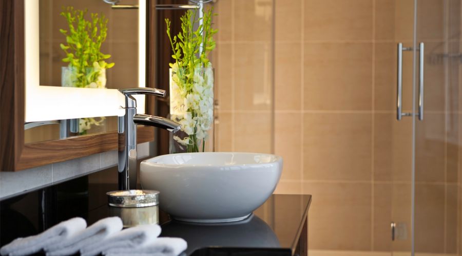 Делюкс 2-местный TWIN