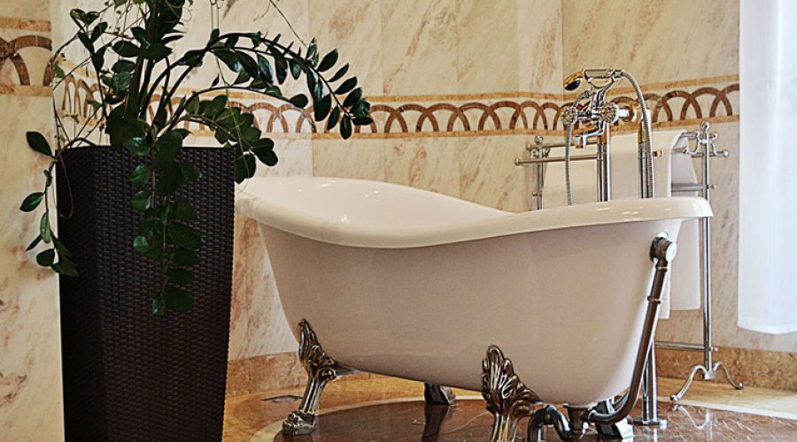 Полулюкс 2-х местный с ванной на львиных лапах