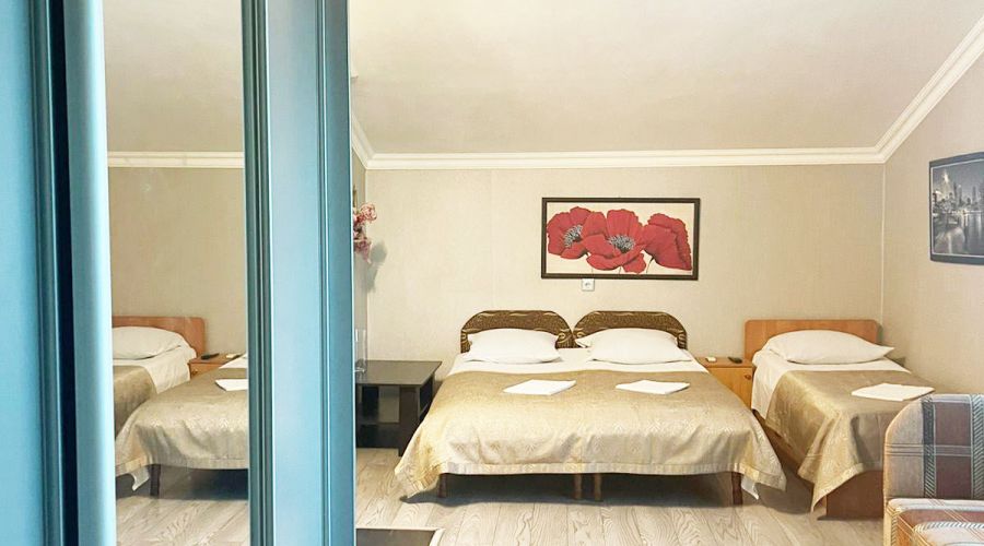 Апартаменты 1-комнатные 4-местные