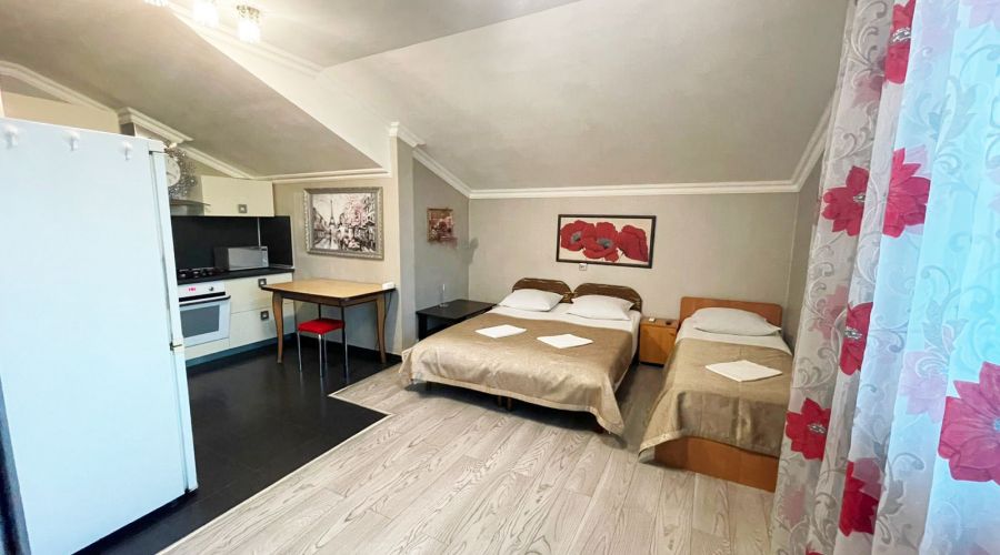 Апартаменты 1-комнатные 4-местные