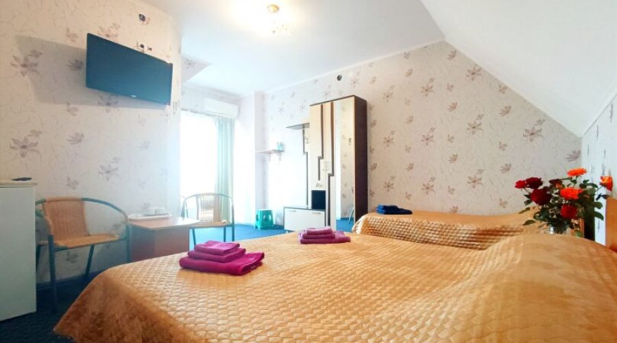 Мансарда Семейный 3-местный 1-комнатный с балконом