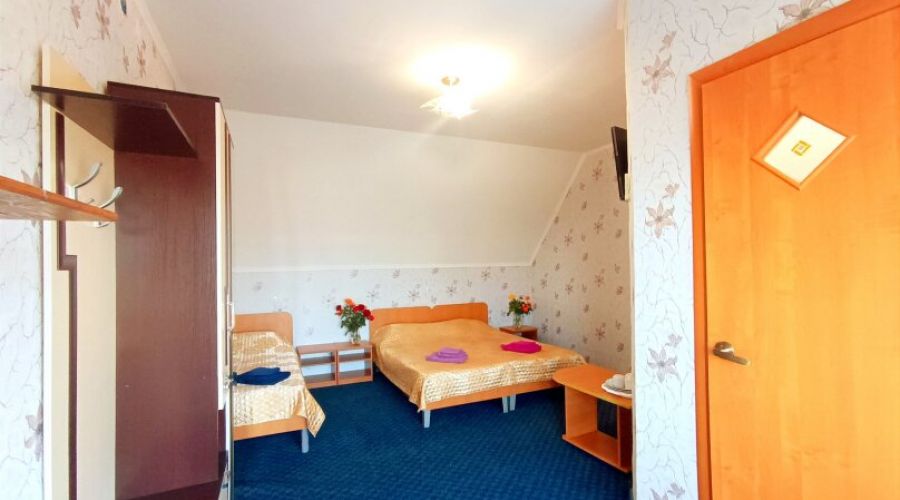 Мансарда Семейный 3-местный 1-комнатный с балконом