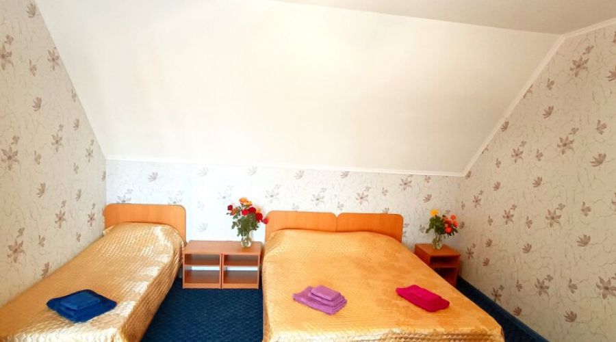 Мансарда Семейный 3-местный 1-комнатный с балконом