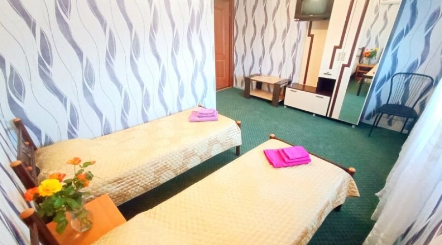 Мансарда Стандарт 2-местный 1-комнатный