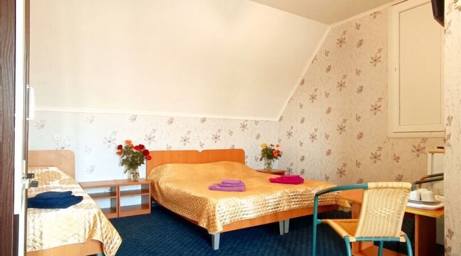 Мансарда Семейный 3-местный 1-комнатный с балконом