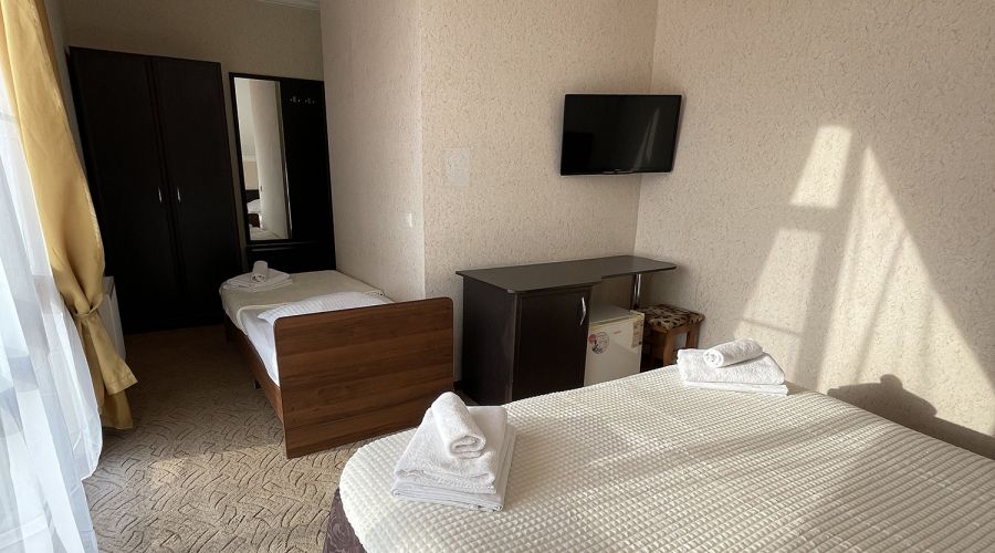 Стандарт Стандарт 3-местный №42