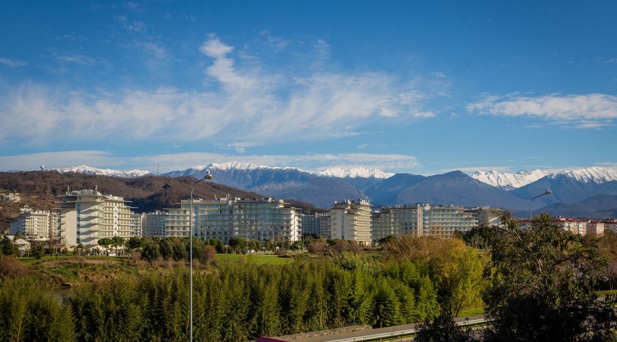 Стандарт Стандарт 3-местный №33