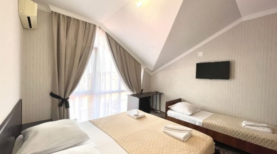 Стандарт Стандарт 3-местный №43