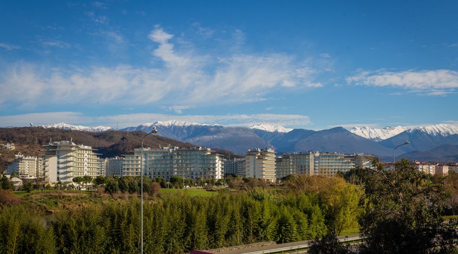 Стандарт Стандарт 3-местный №33