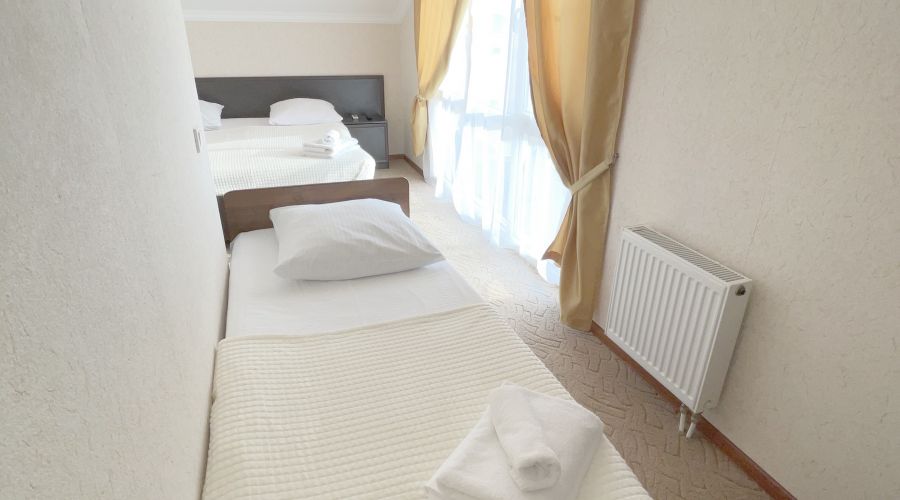 Стандарт Стандарт 3-местный №42