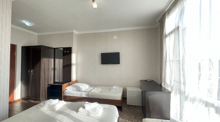 Стандарт Стандарт 4-местный №41