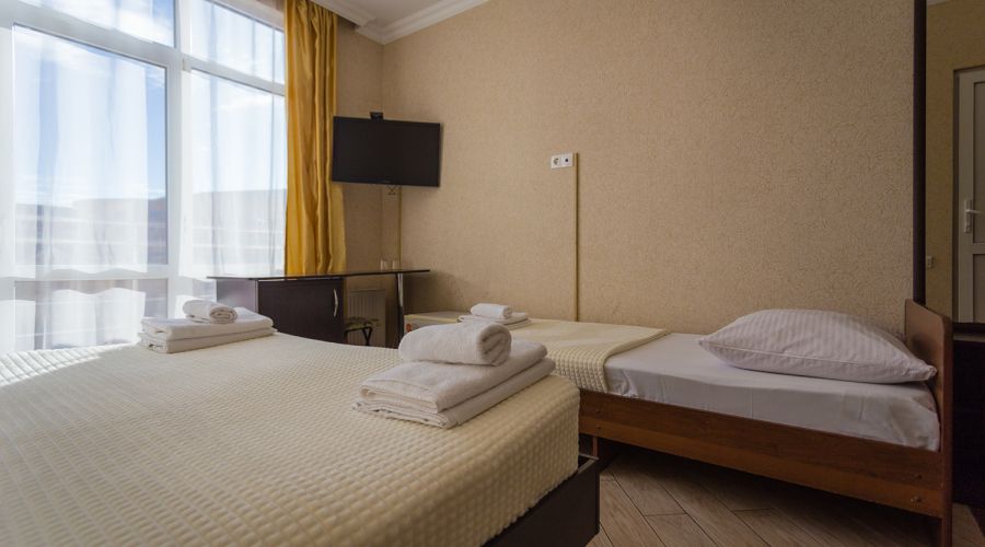 Стандарт Стандарт 3-местный №33