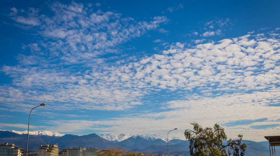 Стандарт Стандарт 3-местный №23