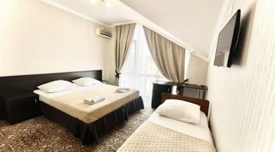 Стандарт Стандарт 3-местный №43