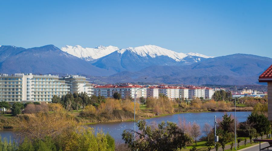 Стандарт Стандарт 4-местный №44