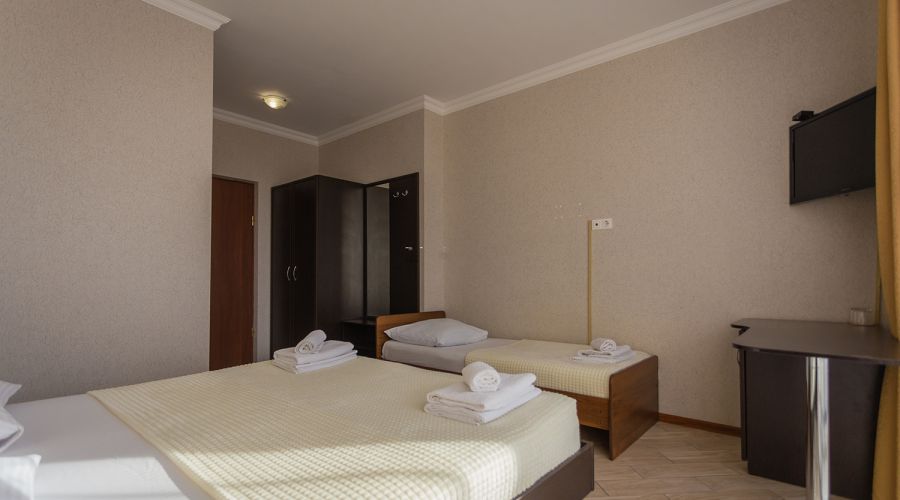 Стандарт Стандарт 3-местный №31