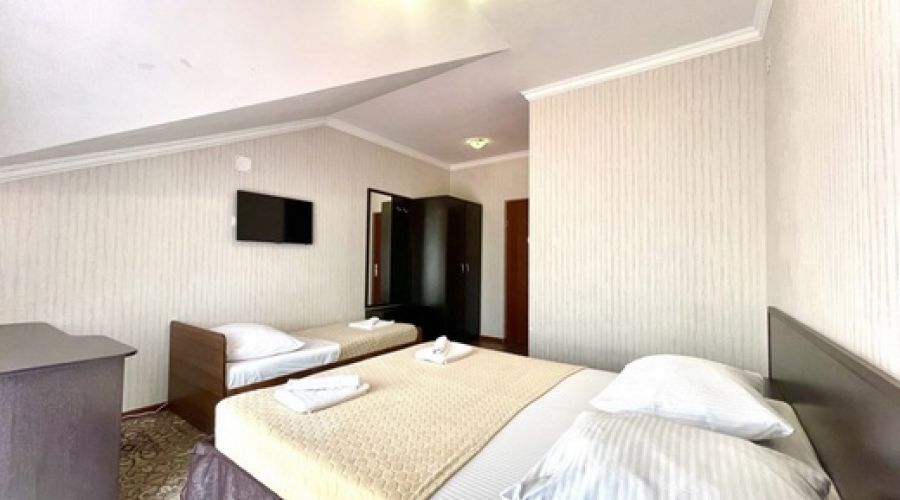 Стандарт Стандарт 3-местный №43