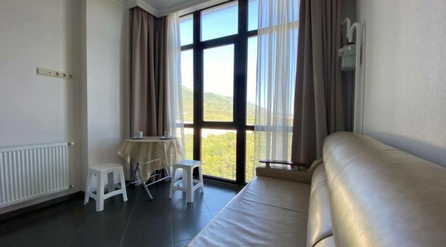 Апартаменты 1-комнатные