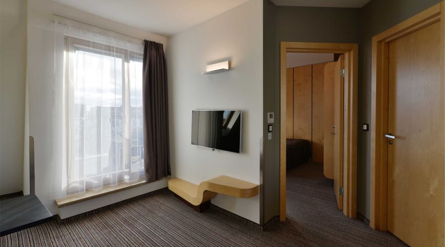 Люкс 2-местный