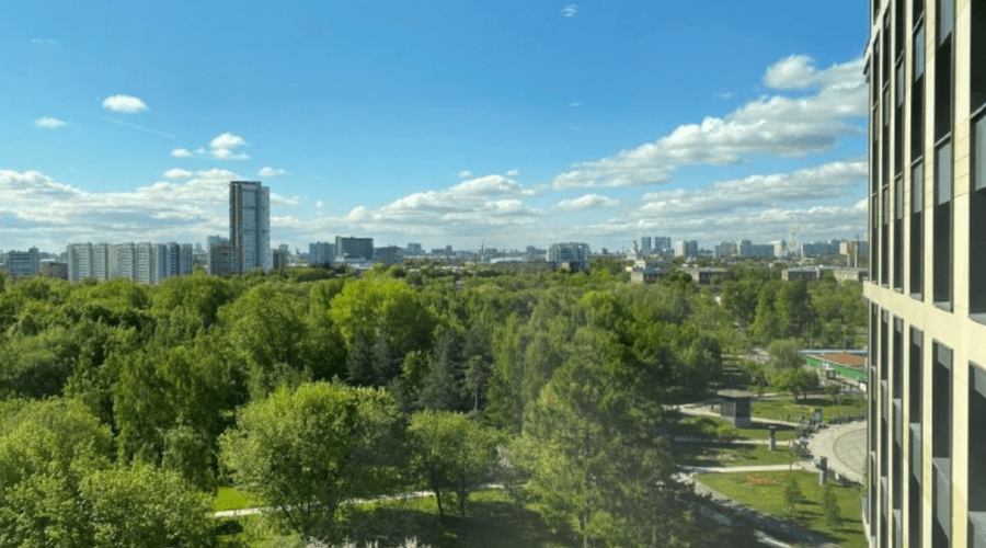 Супериор 2-местный 1-комнатный с видом на парк